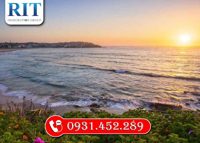 Bãi Biển Bondi (Bondi Beach) - Nét sống Động của Sydney