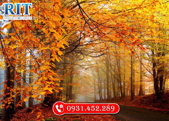 Định Cư Anh Quốc: Biến Giấc Mơ Mùa Thu Thành Hiện Thực Cùng RIT