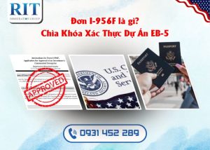 Đơn I-956F