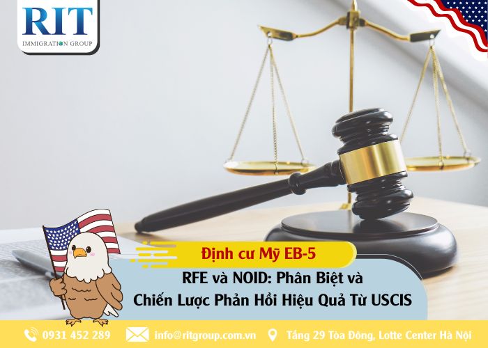 RFE và NOID: Phân Biệt và Chiến Lược Phản Hồi Hiệu Quả Từ USCIS