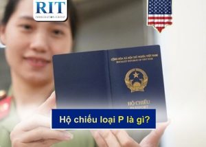 hộ chiếu loại P