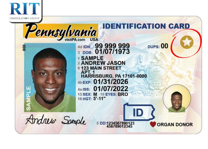Quy trình và thủ tục đăng ký Real ID chi tiết