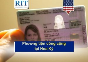 real id là gì