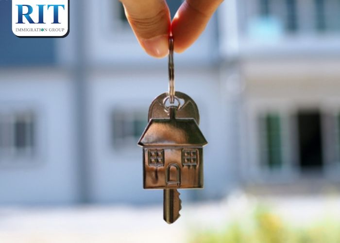 Tại sao New Zealand đóng cửa thị trường và tác động đến khu vực?