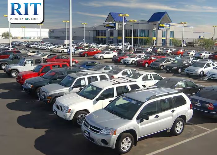 Các nguồn tìm kiếm thông tin mua xe cũ ở Úc uy tín