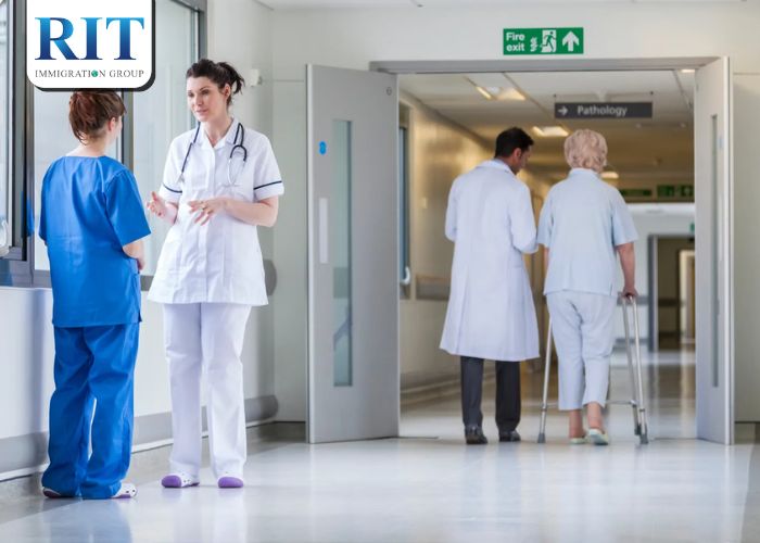 Hệ thống giáo dục và y tế tiêu chuẩn Châu Âu