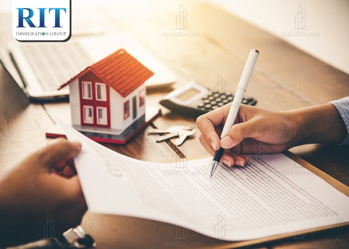 Quy trình chuyển nhượng và kiểm tra pháp lý